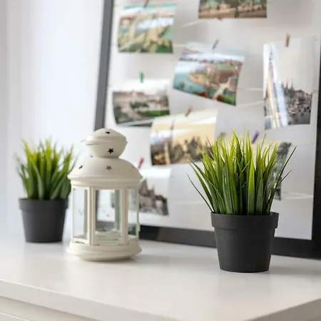 Apartament Na Wroclawskim Rynku - Kamienica Pod Gryfami Apartment Wroclaw